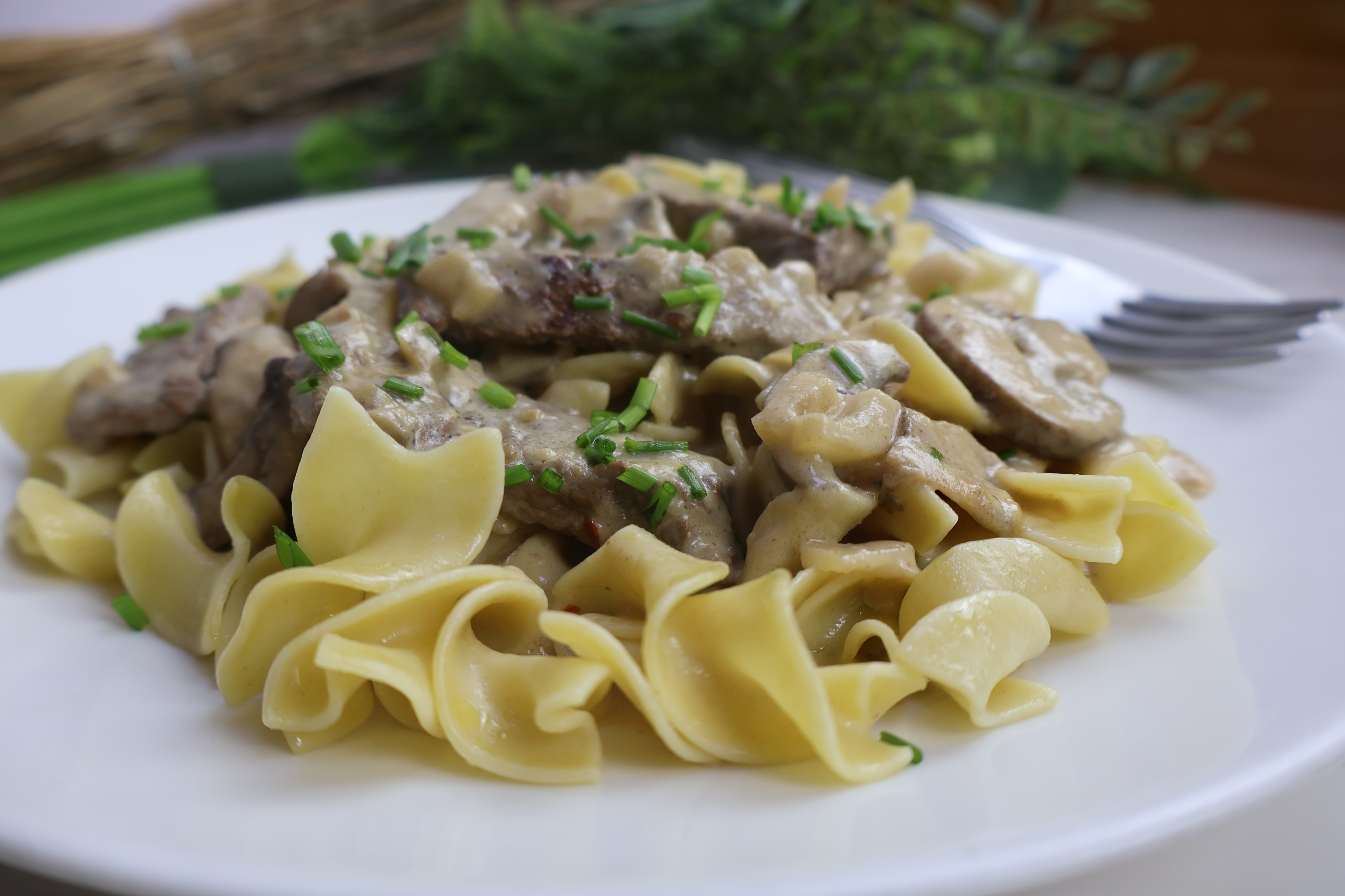 beef and egg noodles