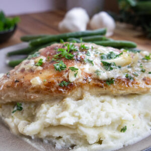 creamy garlic chicken