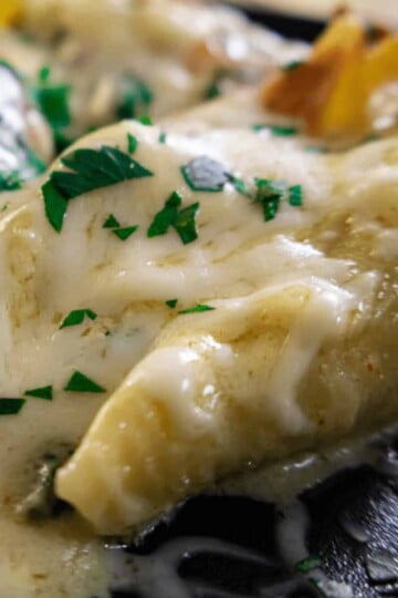 Close-up of cheesy pasta topped with fresh parsley on a black plate, highlighting melted cheese detail.