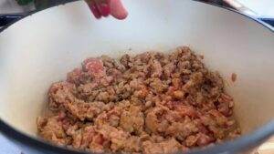 Cooking ground meat in a pot with a hand adding seasoning or spice.