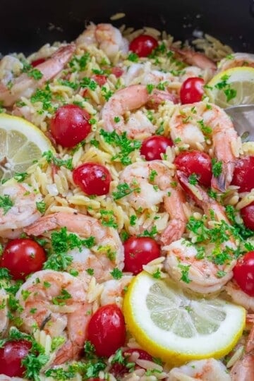 Shrimp orzo with cherry tomatoes, lemon slices, and fresh herbs in a skillet. Perfect for a refreshing meal.