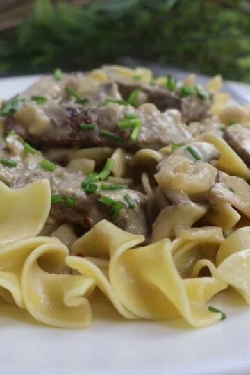 Creamy beef stroganoff served over egg noodles, garnished with fresh chives on a white plate.
