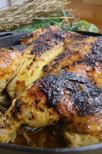 Roasted spatchcock chicken with crispy skin in cast iron pan, surrounded by herbs and onions. Perfect dinner recipe.