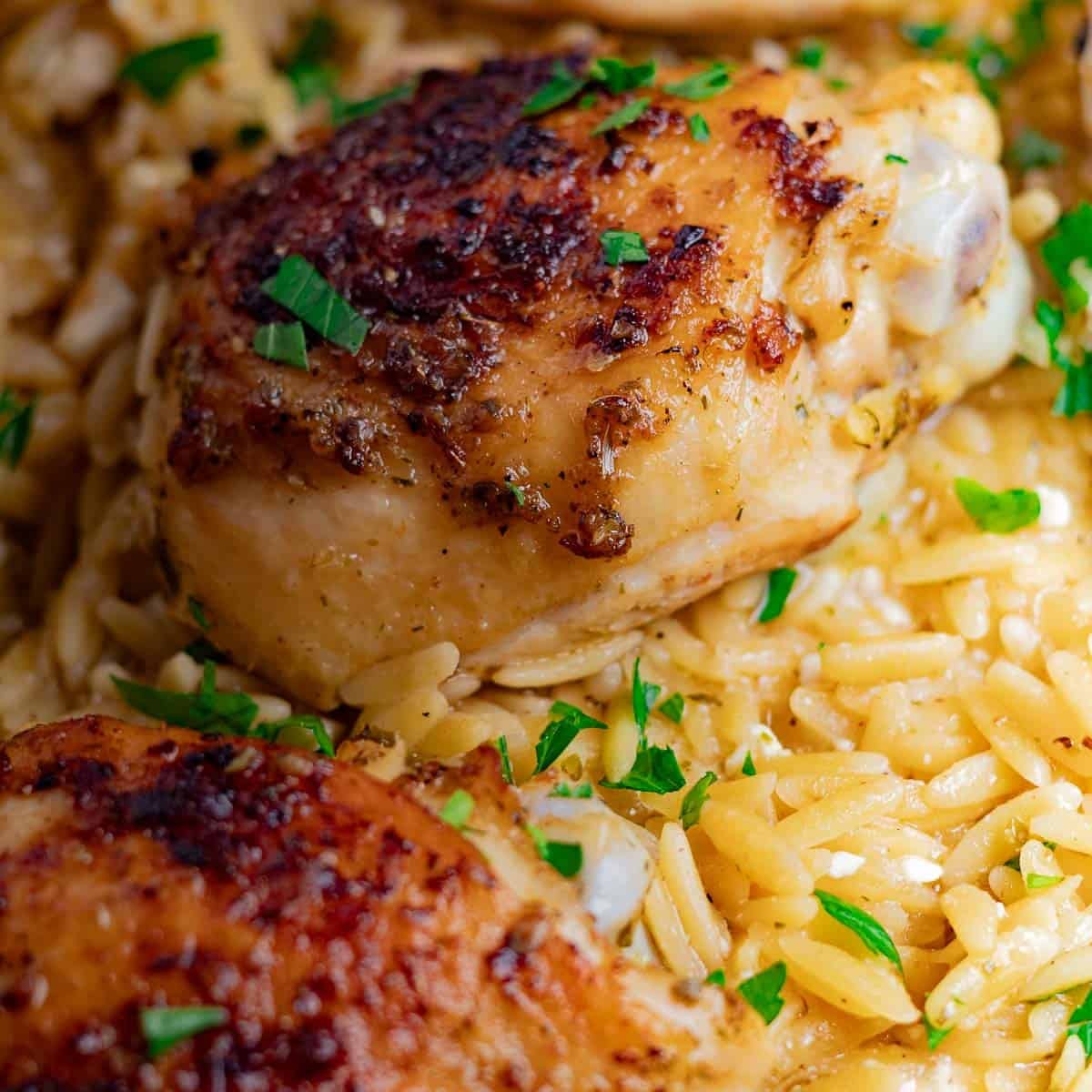 chicken with crispy skin on top of creamy orzo