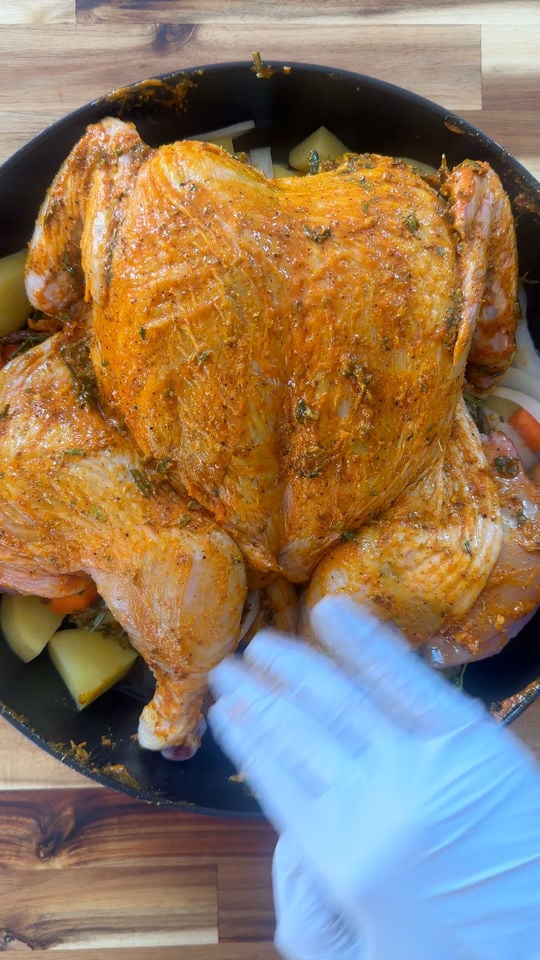 Raw spatchcocked chicken seasoned with herbs on vegetables in a pan, hands in gloves preparing to roast.