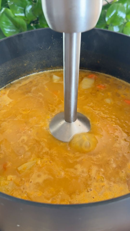 Blender mixing vegetable soup in a pot with leafy plant background.