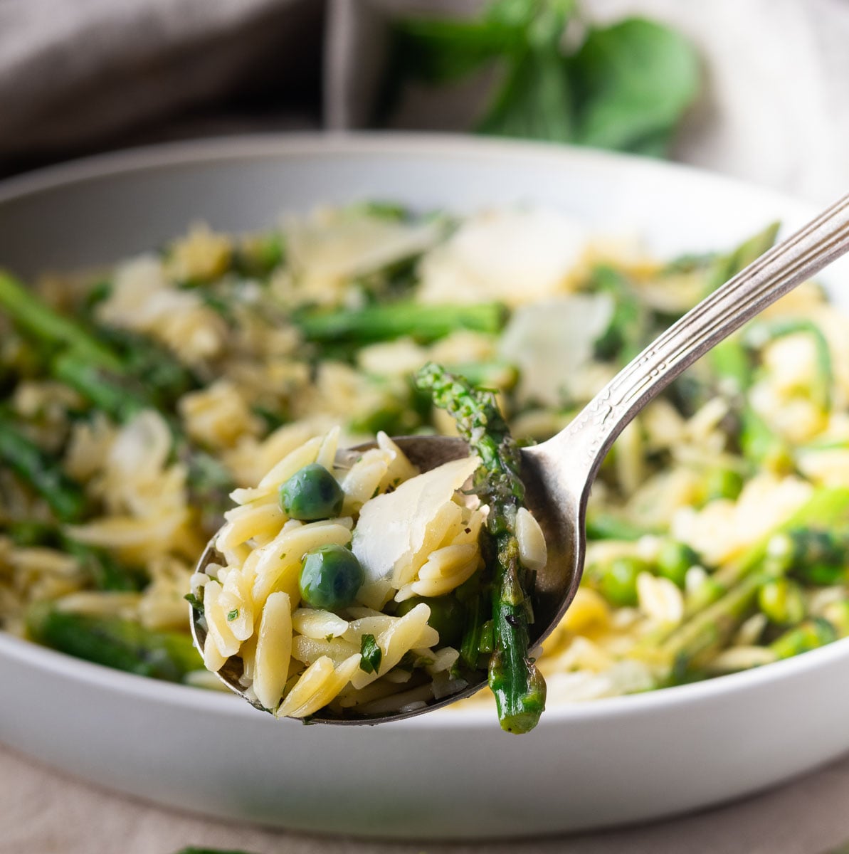 Spoonful of Asparagus-orzo pasta salad with asparagus, peas, and shaved cheese in a bowl.