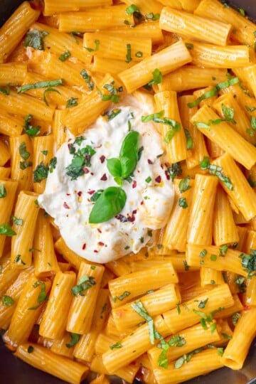 Delicious spicy burrata pasta with fresh herbs and creamy cheese.