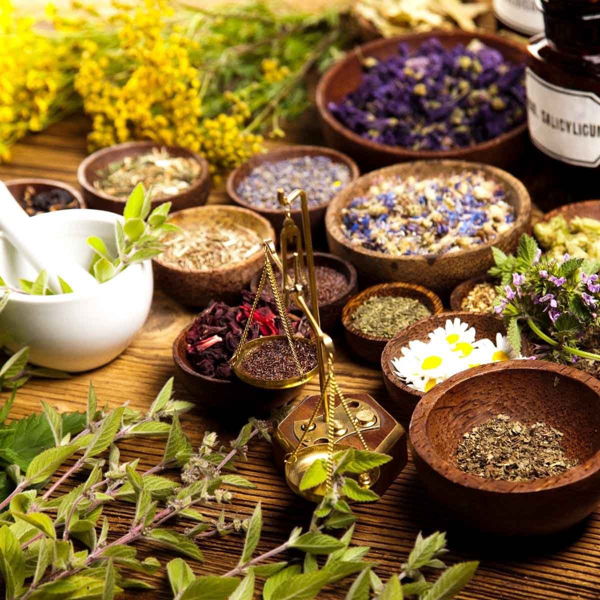 Bowls of dried herbs and flowers on a wooden table with a mortar and pestle, surrounded by fresh greenery.