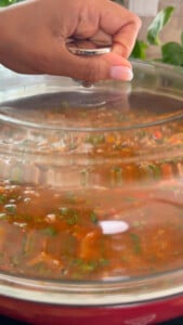 Hand covering simmering pot with lid.