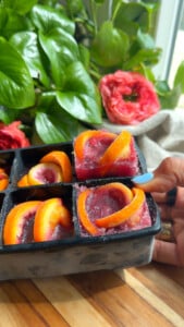 Frozen flavored ice cubes in tray.