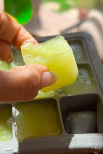 Hand holding green electrolyte ice cube over a tray.