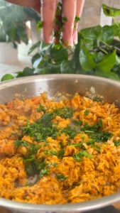 Adding fresh herbs to a pan of cooked tuna.