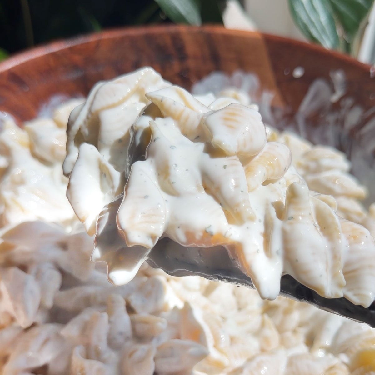 Creamy pasta shells with rich yogurt sauce in a wooden bowl served with a spoon.