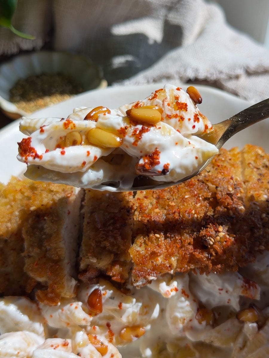 Spoonful of Lebanese Pasta in Yogurt Sauce with pine nuts and spices beside crispy coated dish.