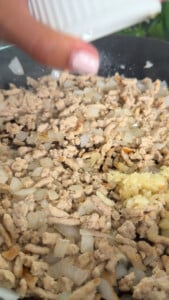 Ground chicken with onions and garlic cooking in a pan, hand seasoning the mixture from above.