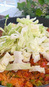 Chopped cabbage on top of colorful vegetable rice in a pan with fresh green leaves in the background.