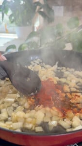 Cooking onions with paprika in a pan on a stove, surrounded by houseplants.