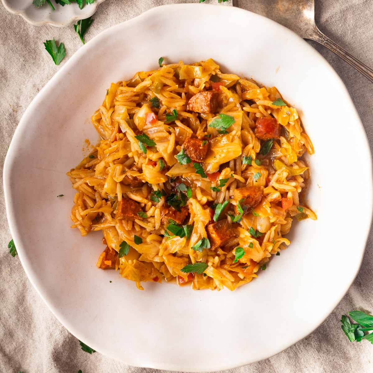 Mediterranean Dirty Cabbage with tomato sauce, parsley, and cubed vegetables on a plate.
