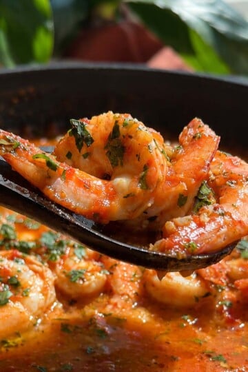 Shrimp provencal in tomato sauce garnished with herbs in a skillet.