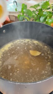 Simmering broth with bay leaf in pot next to green plant in kitchen.